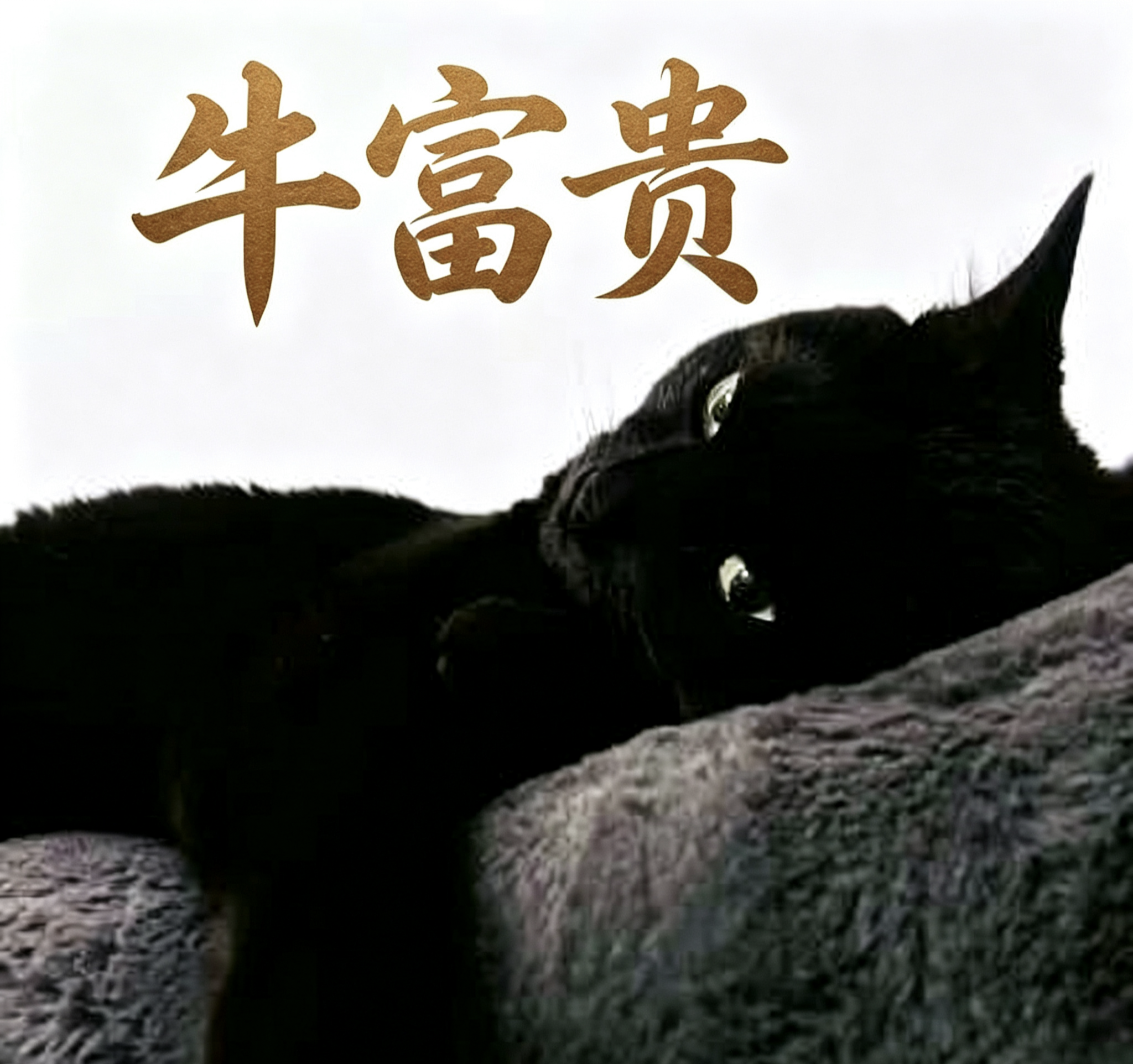 加载中